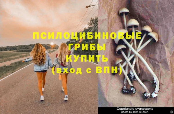 2c-b Балабаново