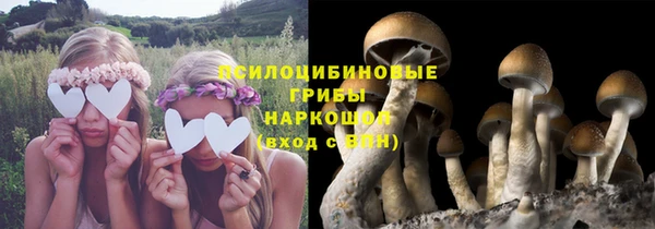 прущая мука Баксан