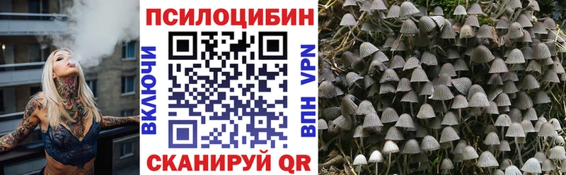 Купить закладки  Бор  Галлюциногенные грибы мицелий 